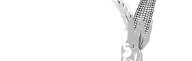 Career Solutions Co. (logo)